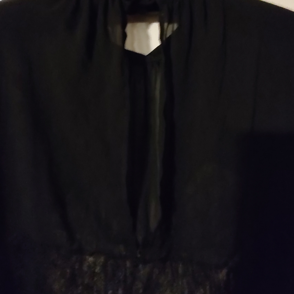 🐈⬛ Divine VS Vintage Victorian Inspired Black Sheer Crepe & Lace Blouse - L - Picture 11 of 15